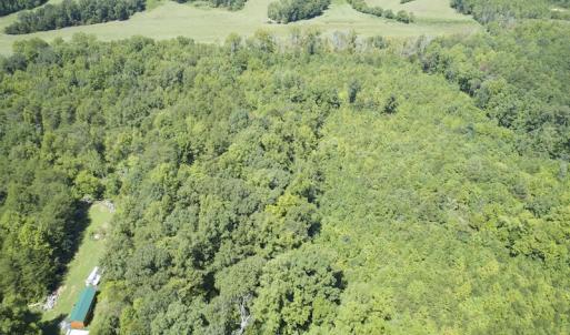 Photo #8 of SOLD property in Off Hightowers Road, Mebane, NC 14.1 acres