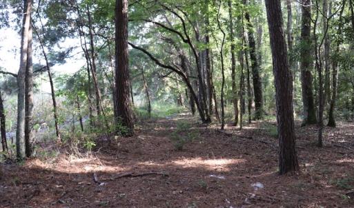 Photo #9 of SOLD property in Off Palmeto Bay Road, Hallsboro, NC 11.7 acres