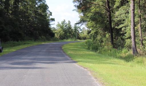 Photo #19 of SOLD property in Off Palmeto Bay Road, Hallsboro, NC 11.7 acres