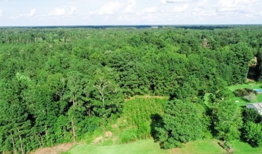 Photo #3 of SOLD property in Off Palmeto Bay Road, Hallsboro, NC 11.7 acres