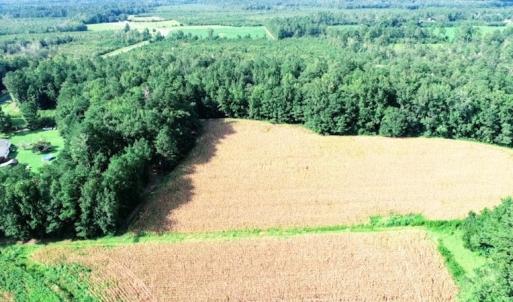 Photo #4 of SOLD property in Off Palmeto Bay Road, Hallsboro, NC 11.7 acres