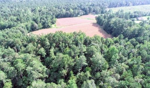 Photo #5 of SOLD property in Off Palmeto Bay Road, Hallsboro, NC 11.7 acres