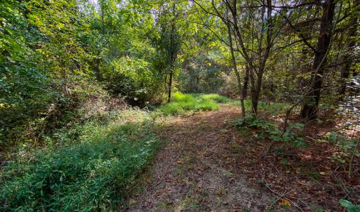 Photo #25 of SOLD property in Off Willie Pace Road, Burlington, NC 13.0 acres