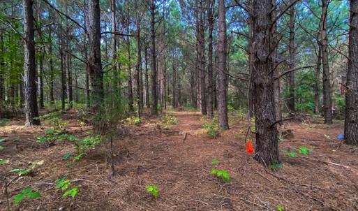 Photo #32 of SOLD property in Off Willie Pace Road, Burlington, NC 13.0 acres