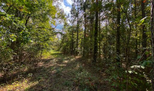 Photo #34 of SOLD property in Off Willie Pace Road, Burlington, NC 13.0 acres