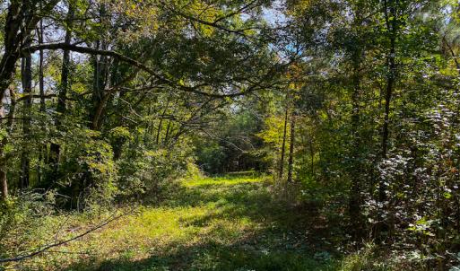 Photo #38 of SOLD property in Off Willie Pace Road, Burlington, NC 13.0 acres