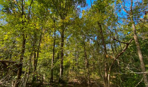 Photo #39 of SOLD property in Off Willie Pace Road, Burlington, NC 13.0 acres