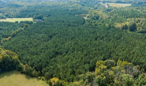 Photo #40 of SOLD property in Off Willie Pace Road, Burlington, NC 13.0 acres