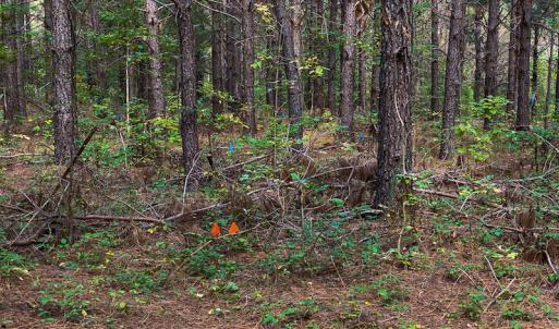 Photo #41 of SOLD property in Off Willie Pace Road, Burlington, NC 13.0 acres