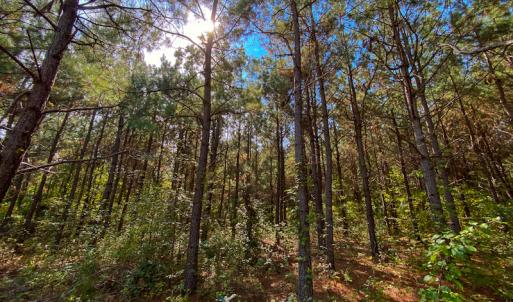 Photo #43 of SOLD property in Off Willie Pace Road, Burlington, NC 13.0 acres