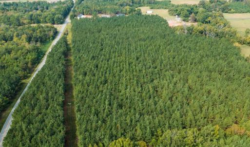 Photo #10 of SOLD property in Off Willie Pace Road, Burlington, NC 13.0 acres
