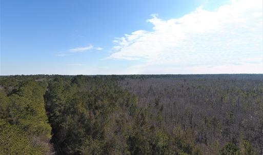 Photo #2 of SOLD property in Off NC Hwy 53 W, White Oak, NC 215.2 acres