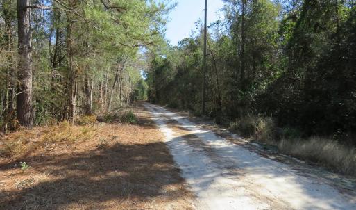 Photo #11 of SOLD property in Off NC Hwy 53 W, White Oak, NC 215.2 acres