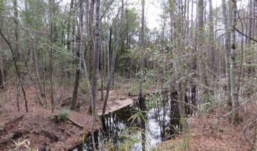 Photo #12 of SOLD property in Off NC Hwy 53 W, White Oak, NC 215.2 acres