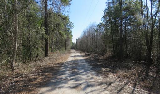 Photo #3 of SOLD property in Off NC Hwy 53 W, White Oak, NC 215.2 acres