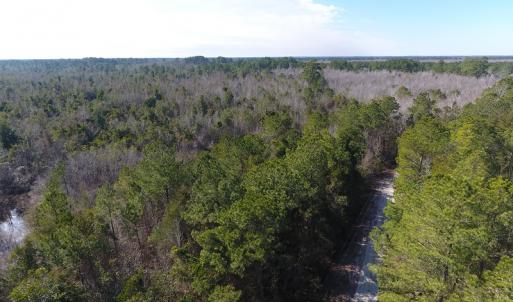 Photo #4 of SOLD property in Off NC Hwy 53 W, White Oak, NC 215.2 acres