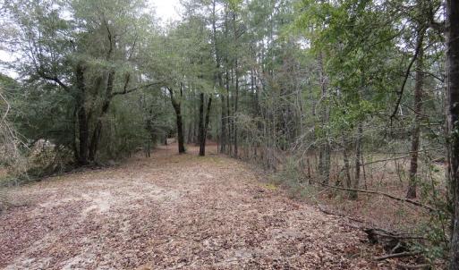 Photo #8 of SOLD property in Off NC Hwy 53 W, White Oak, NC 215.2 acres