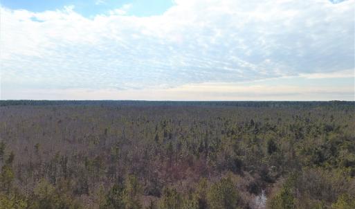 Photo #9 of SOLD property in Off NC Hwy 53 W, White Oak, NC 215.2 acres