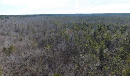 Photo #10 of SOLD property in Off NC Hwy 53 W, White Oak, NC 215.2 acres