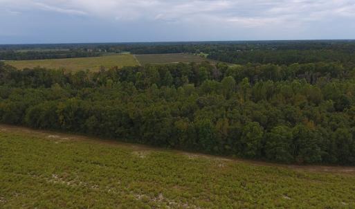 Photo #3 of SOLD property in Off Brayboy Road, Rowland, NC 10.1 acres