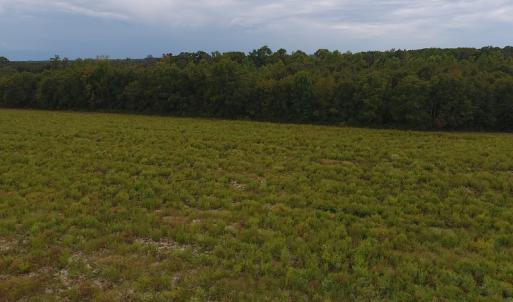 Photo #5 of SOLD property in Off Brayboy Road, Rowland, NC 10.1 acres