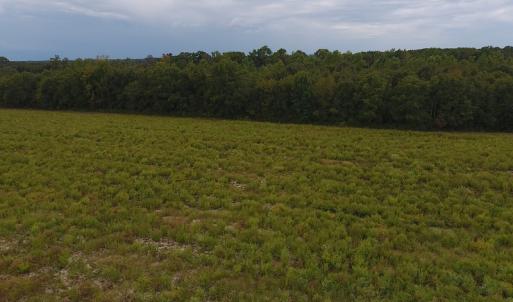 Photo #5 of SOLD property in Off Brayboy Road, Rowland, NC 10.1 acres