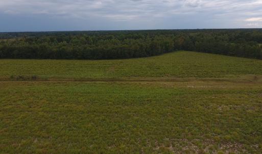 Photo #2 of SOLD property in Off Brayboy Road, Rowland, NC 10.8 acres