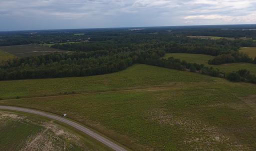 Photo #3 of SOLD property in Off Brayboy Road, Rowland, NC 10.8 acres