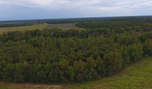 Photo #4 of SOLD property in Off Brayboy Road, Rowland, NC 10.8 acres