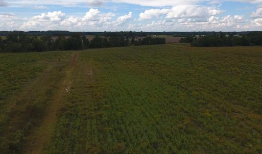 Photo #6 of SOLD property in Off Brayboy Road, Rowland, NC 10.8 acres