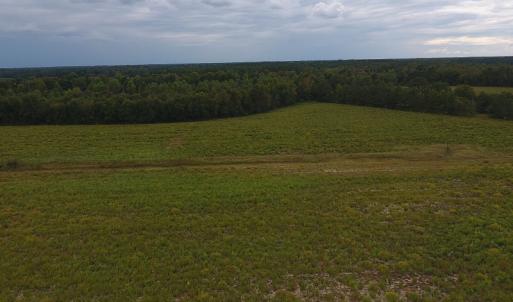 Photo #3 of SOLD property in Off Brayboy Road, Rowland, NC 11.0 acres