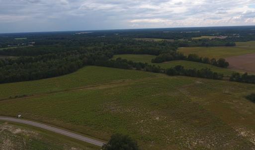 Photo #4 of SOLD property in Off Brayboy Road, Rowland, NC 11.0 acres