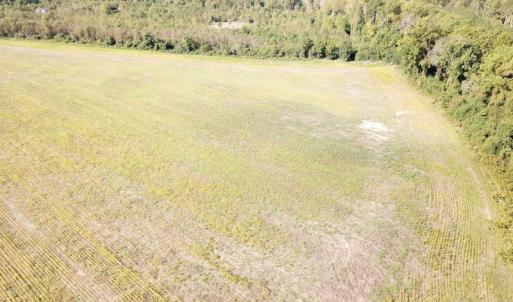 Photo #2 of 1247 Macedonia Road, Edenton, NC 83.0 acres