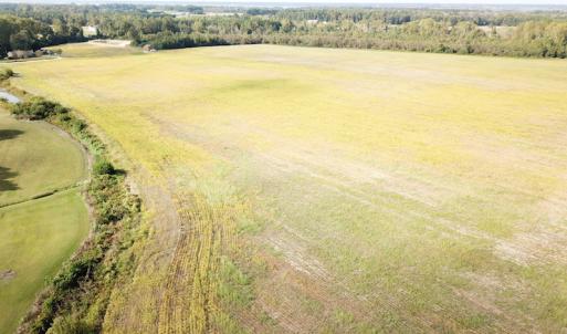 Photo #3 of 1247 Macedonia Road, Edenton, NC 83.0 acres