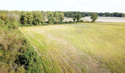 Photo #4 of 1247 Macedonia Road, Edenton, NC 83.0 acres