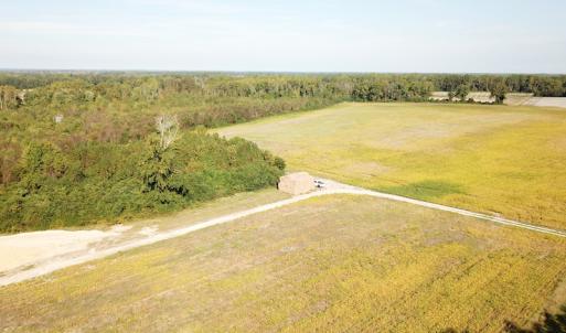 Photo #5 of 1247 Macedonia Road, Edenton, NC 83.0 acres