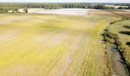 Photo #9 of 1247 Macedonia Road, Edenton, NC 83.0 acres
