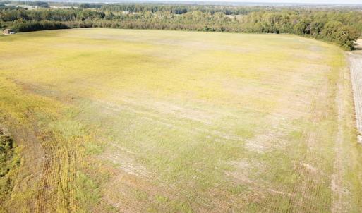 Photo #10 of 1247 Macedonia Road, Edenton, NC 83.0 acres