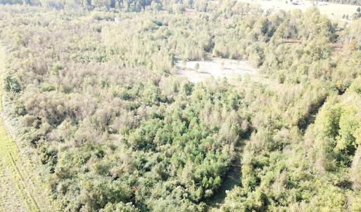 Photo #11 of 1247 Macedonia Road, Edenton, NC 83.0 acres