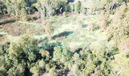Photo #13 of 1247 Macedonia Road, Edenton, NC 83.0 acres