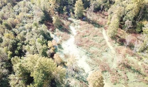 Photo #15 of 1247 Macedonia Road, Edenton, NC 83.0 acres