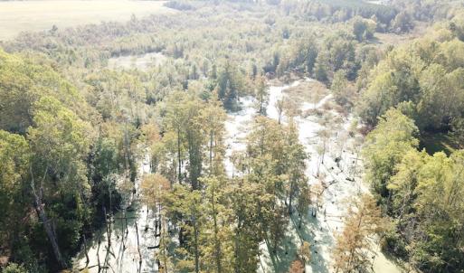 Photo #16 of 1247 Macedonia Road, Edenton, NC 83.0 acres