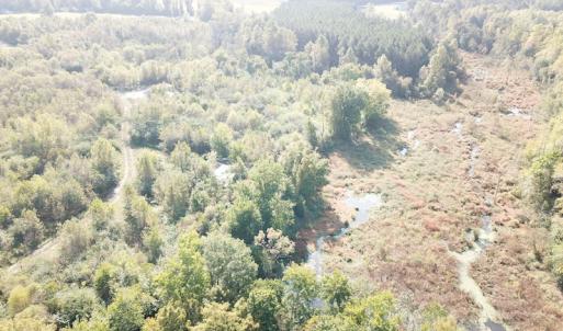 Photo #17 of 1247 Macedonia Road, Edenton, NC 83.0 acres
