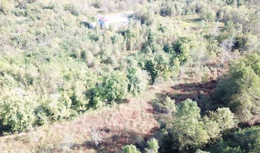 Photo #19 of 1247 Macedonia Road, Edenton, NC 83.0 acres