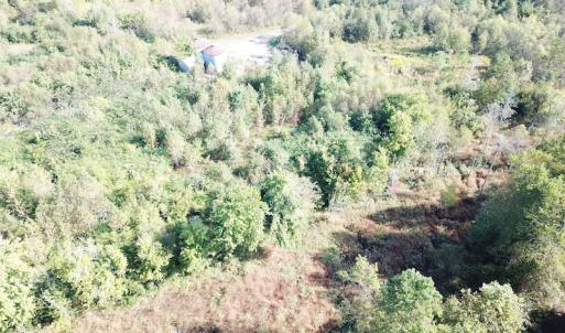 Photo #20 of 1247 Macedonia Road, Edenton, NC 83.0 acres