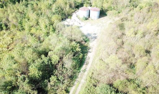 Photo #21 of 1247 Macedonia Road, Edenton, NC 83.0 acres