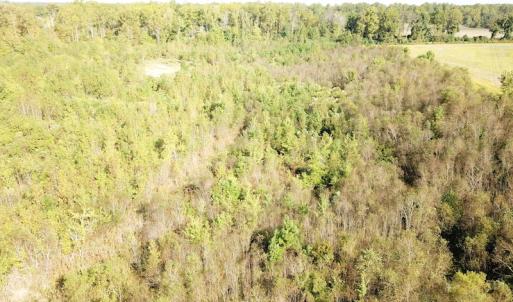 Photo #23 of 1247 Macedonia Road, Edenton, NC 83.0 acres