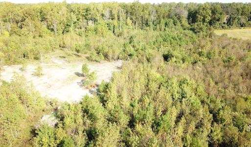 Photo #24 of 1247 Macedonia Road, Edenton, NC 83.0 acres