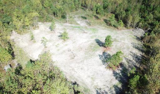 Photo #25 of 1247 Macedonia Road, Edenton, NC 83.0 acres