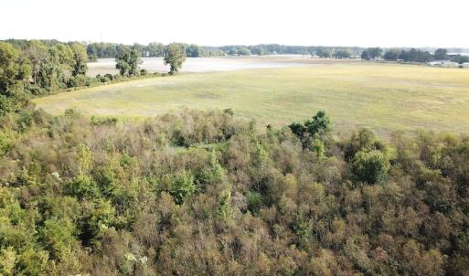 Photo #26 of 1247 Macedonia Road, Edenton, NC 83.0 acres